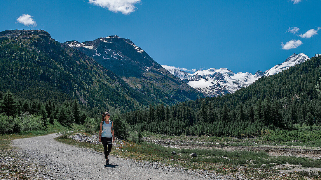 Woman hiking on the Morteratsch Glacier in the Engadin in the Swiss Alps in summer