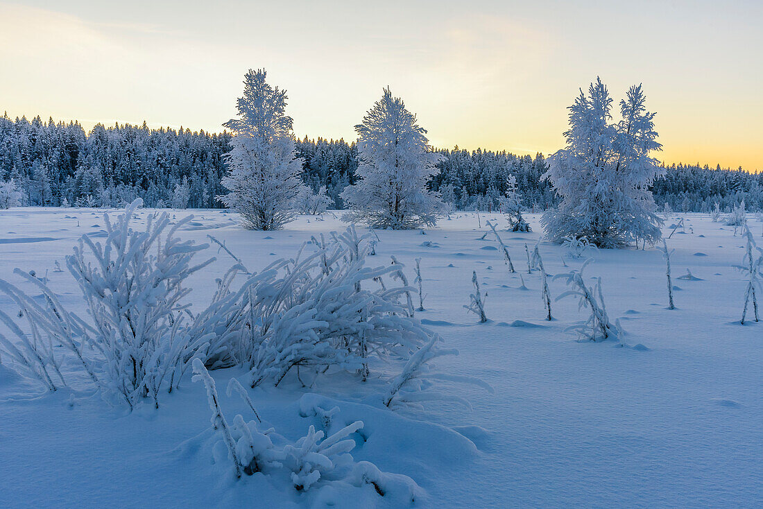 Landschaft bei Levi, Finnland