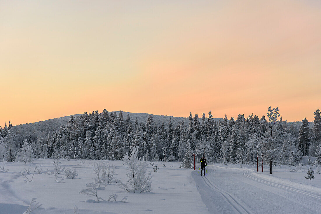 Landscape near Levi, cross-country skiers, Levi, Finland