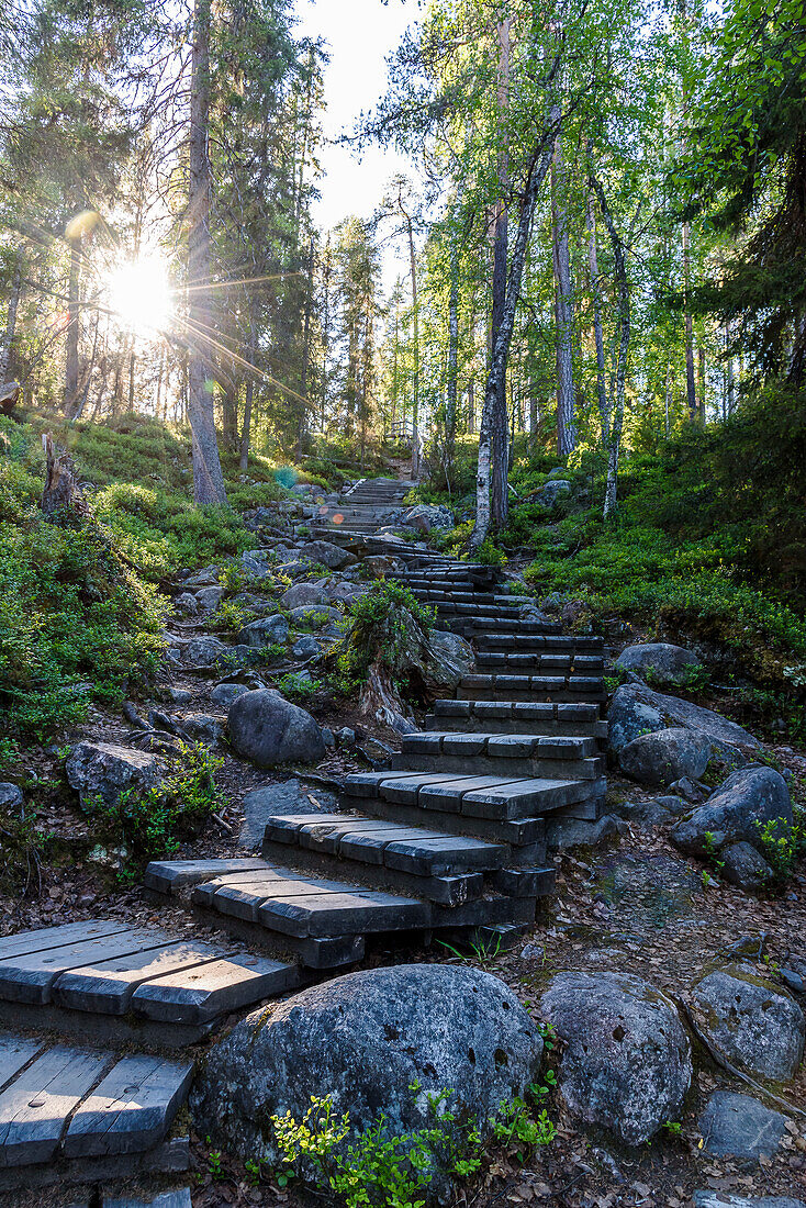 Wanderweg an der Mylykoski Wassermühle mit Wasserfall, Bilder vom Wanderweg Bärenkreis, Finnland