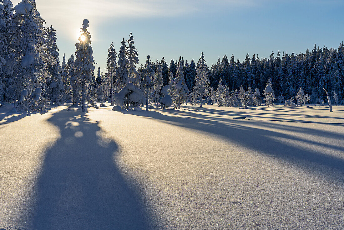 Wanderung zum Kuertunturi, Landschaft bei Äkäslompolo, Äkäslompolo, Finnland