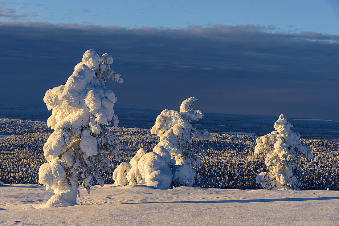 Blick vom Kukastunturi, Landschaft bei Äkäslompolo, Äkäslompolo, Finnland