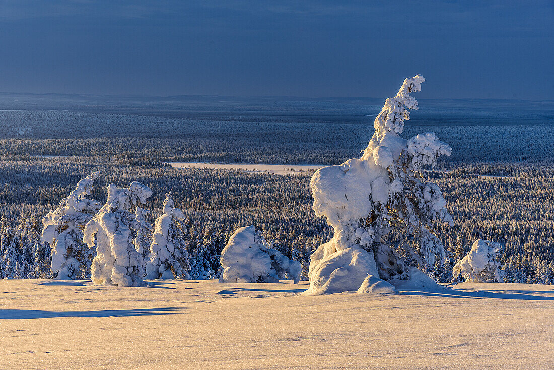 View from Kukastunturi, landscape at Aekaeslampolo, Aekaeslampolo, Finland