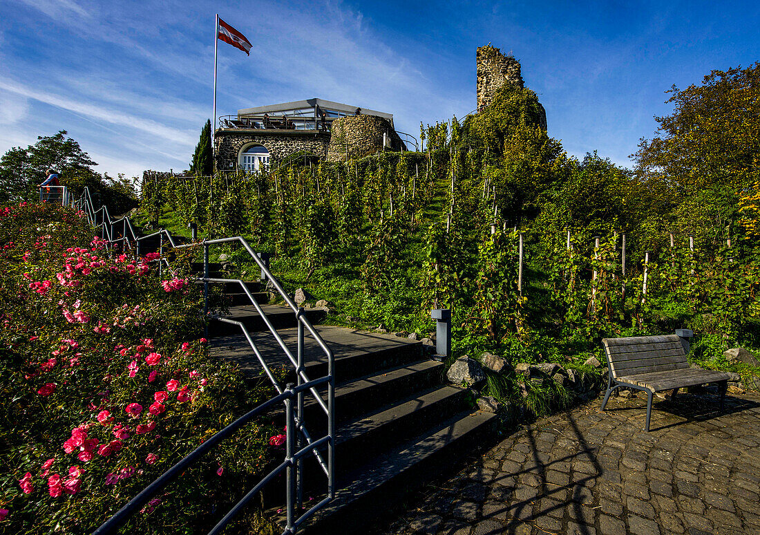 Treppe zum Rolandsbogen und zu dem Panorama-Restaurant, Remagen; Kreis Ahrweiler; Rheinland-Pfalz, Deutschland