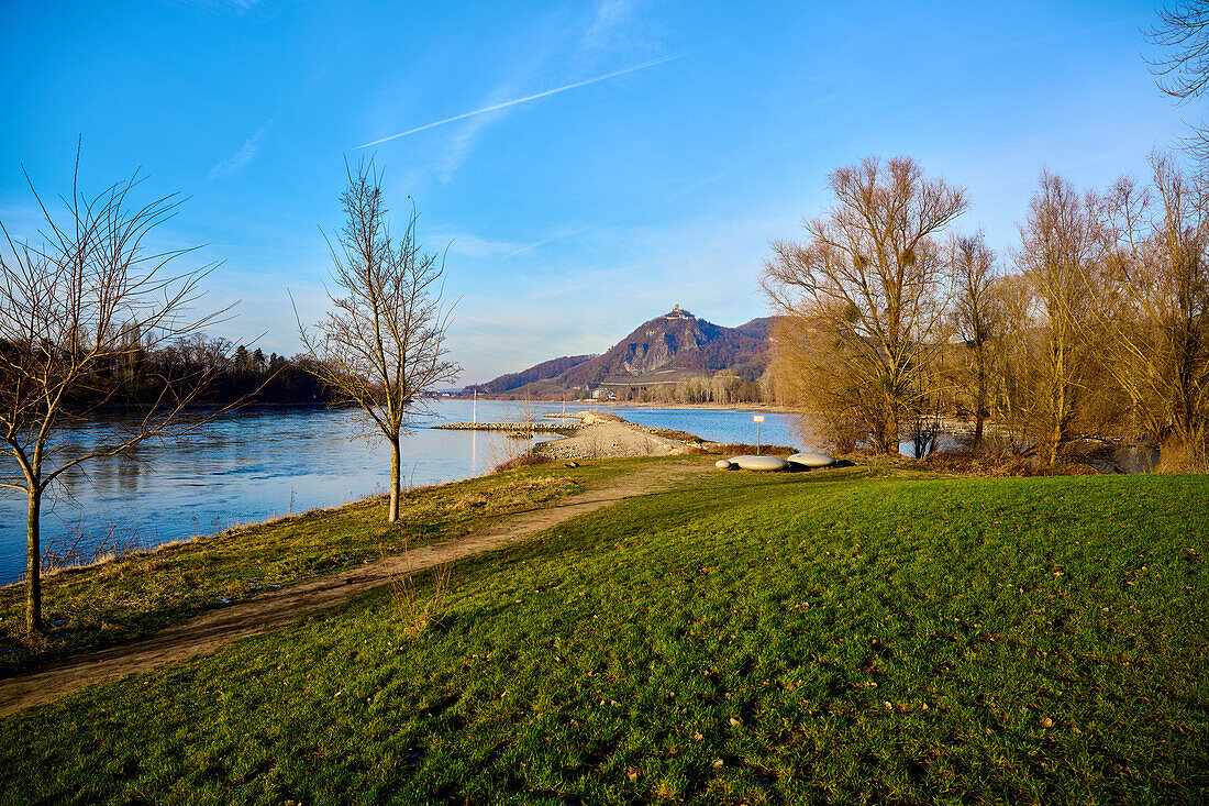 Blick über den Rhein auf den Drachenfels, Bad Honnef, NRW, Deutschland