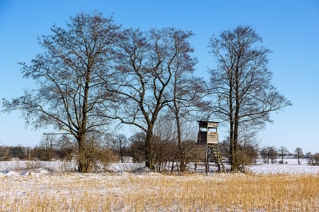 Sempttal; Hunter's stand, trees