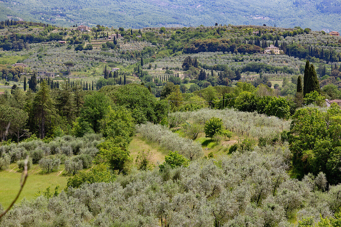 Arezzo, Ausblick von Paseggio del Prato, Toskana, Italien