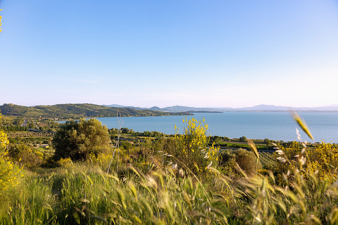Lake Trasimeno, view from Castel Rigone