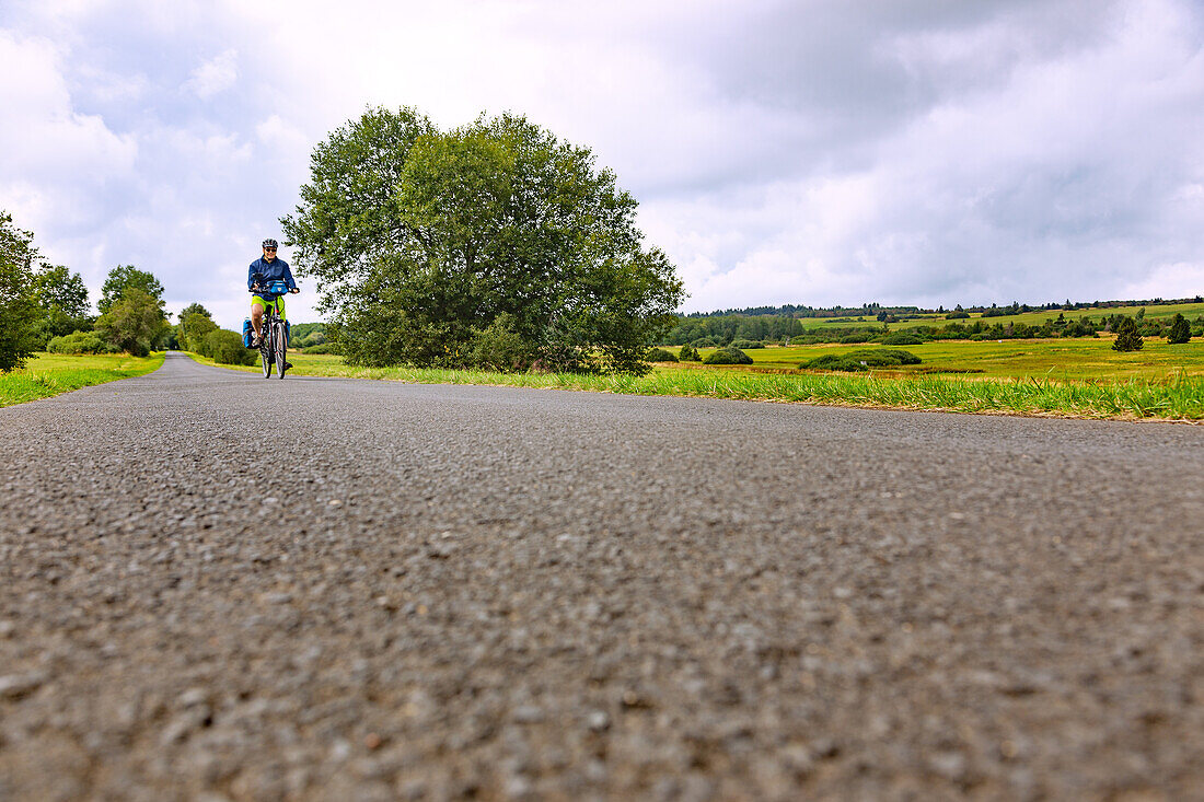 Rhönradweg, Naturschutzgebiet Lange Rhön, Radfahrer, Hessen, Deutschland