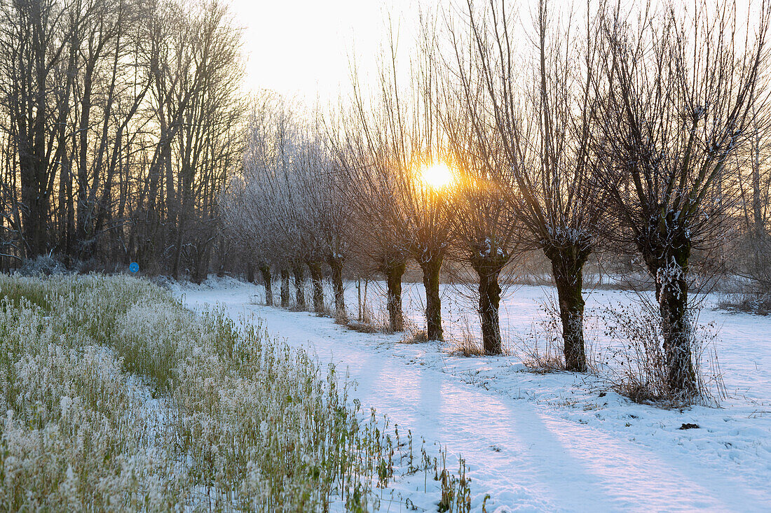 Sempttal; Weiden, Winterstimmung, Bayern, Deutschland