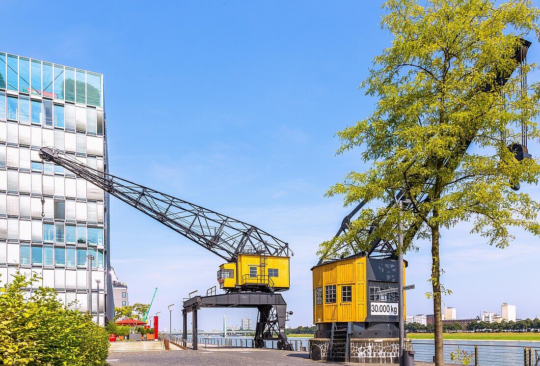 Cologne; Rheinauhafen; historic loading cranes