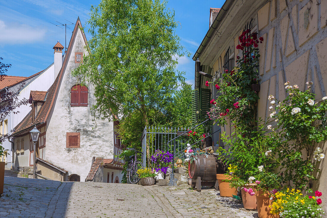 Sulzfeld, Winzerhäusla