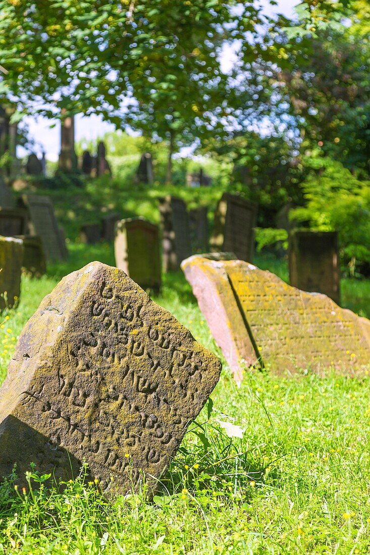 Worms, Holy Sand Jewish Cemetery, tombstones from the 11th to 13th centuries