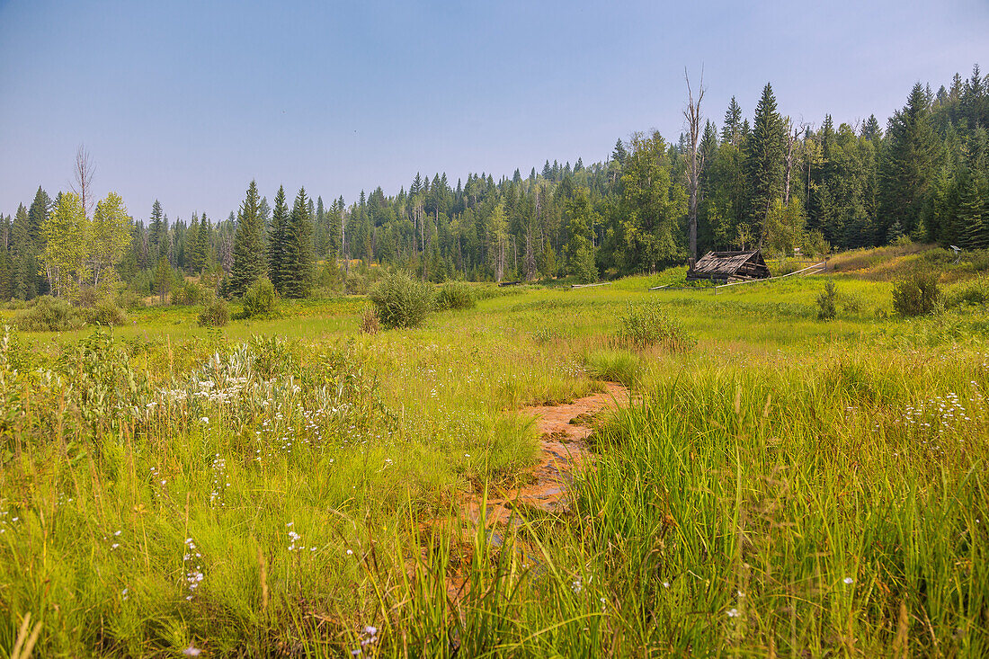 Well Gray Provincial Park, Ray Farm and Mineral Springs, British Columbia, Kanada