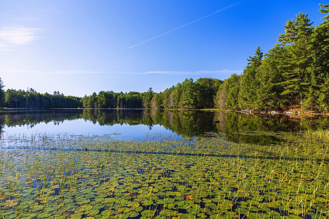 Levi Lake, Sequin, Muskoka District, Ontario, Kanada