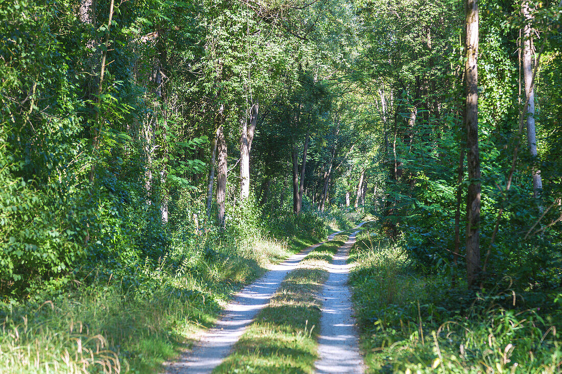 Inn bike path between Mühldorf and Marktl