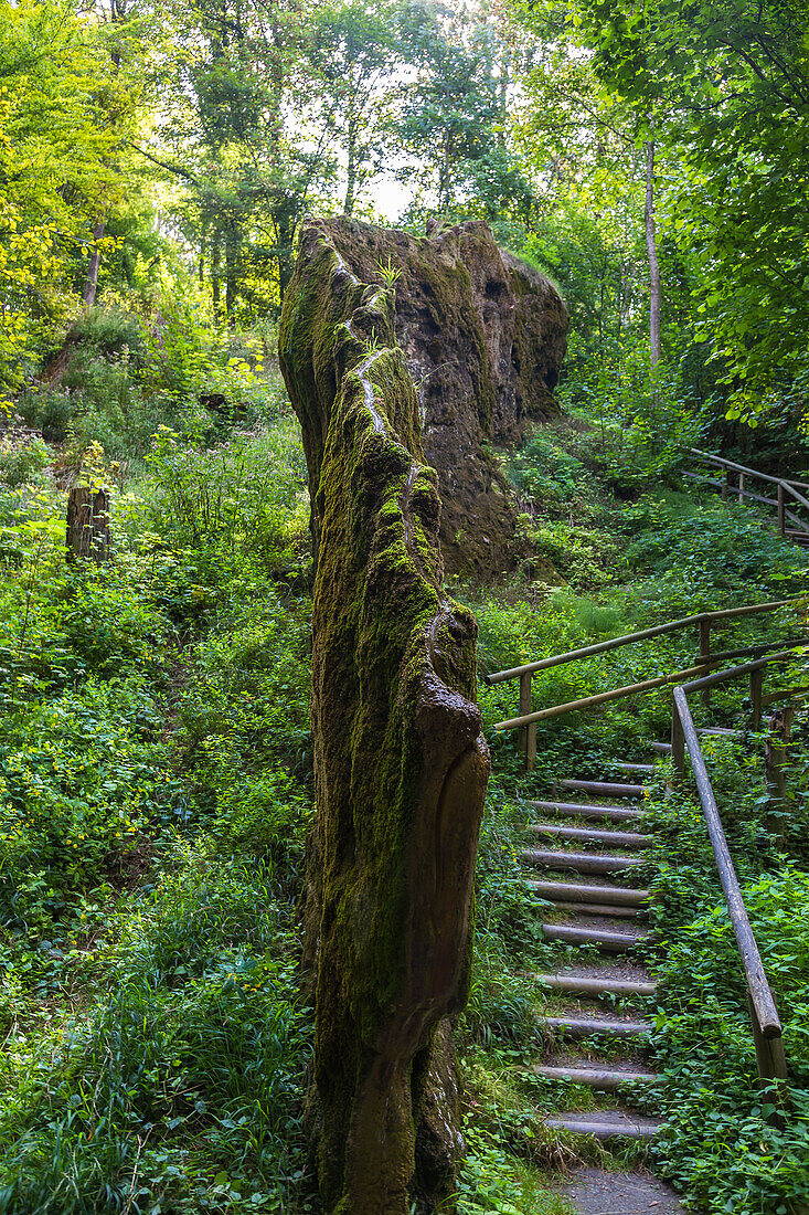 Wachsender Felsen, Usterling, Bayern, Deutschland