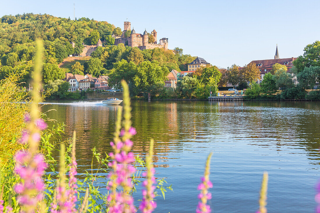 Wertheim, Burg Wertheim am Main, Blick von Kreuzwertheim, Baden-Württemberg, Deutschland