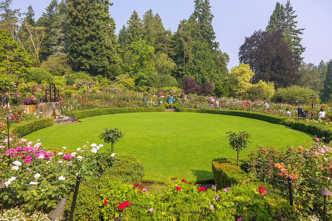 Victoria; The Butchart Gardens; Rose Garden, Vancouver Island, Kanada
