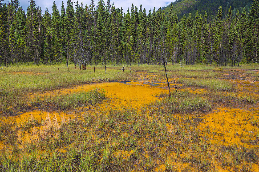 Kootenay National Park, Paint Pots, British Columbia, Kanada