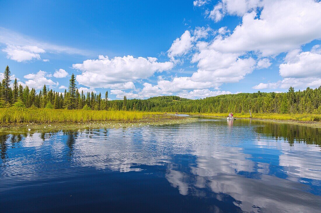 Algonquin Provincial Park, Opeongo Lake, canoes