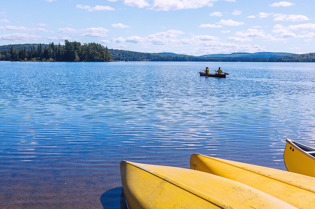 Algonquin Provincial Park; Lake of Two Rivers; canoes