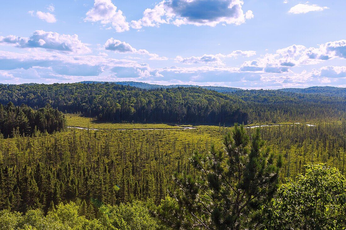 Algonquin Provincial Park, Madawaska River