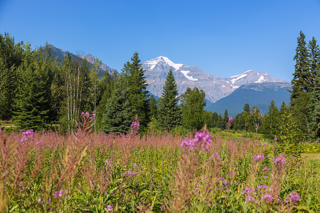 Mount Robson Provincial Park, Mount Robson, British Columbia, Kanada