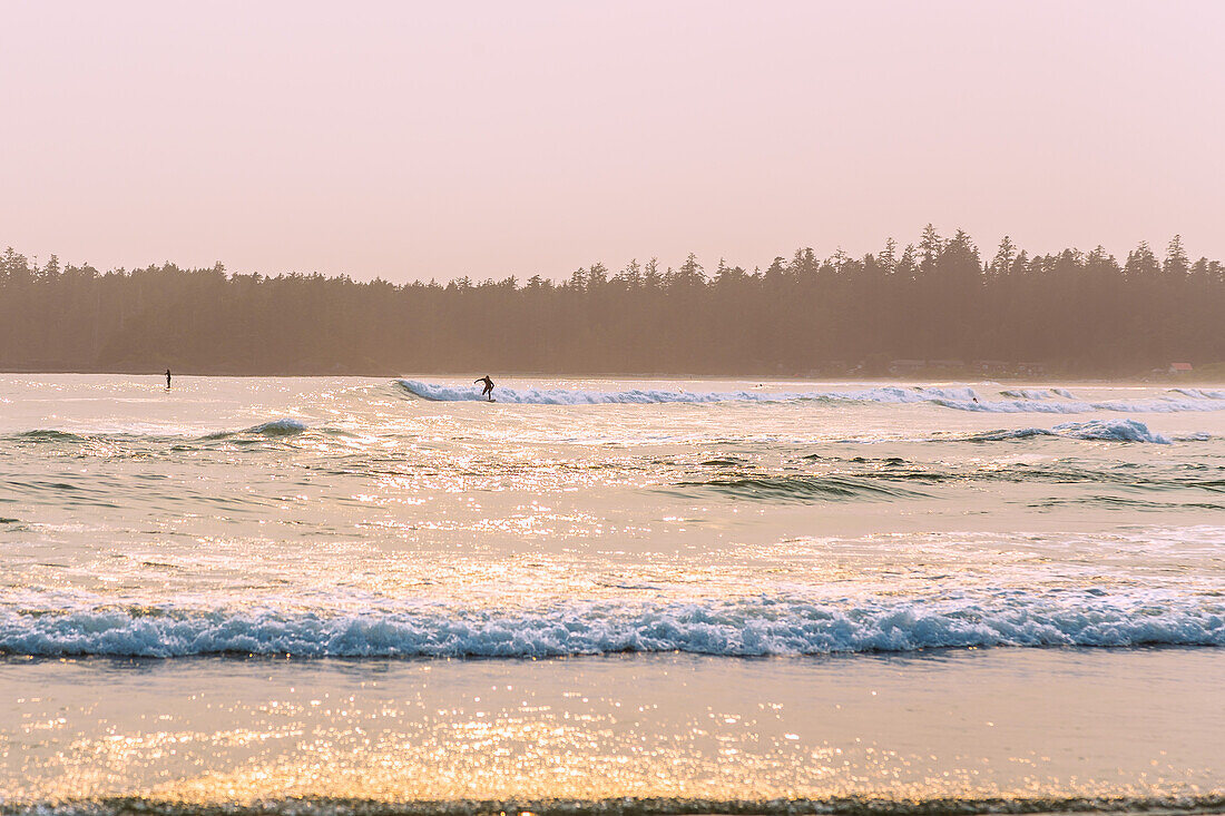 Vancouver Island, Pacific Rim National Park, Long Beach, British Columbia, Kanada