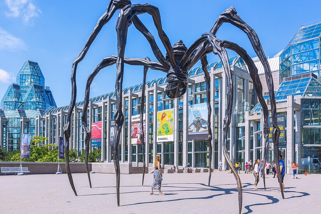 Ottawa, National Gallery of Canada, Maman spider sculpture by Sophie Bourgois