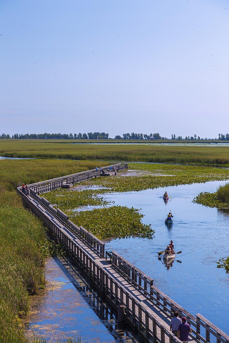 Point Pelee National Park, Marsh Board Walk, Kanufahrer, Ontario, Kanada