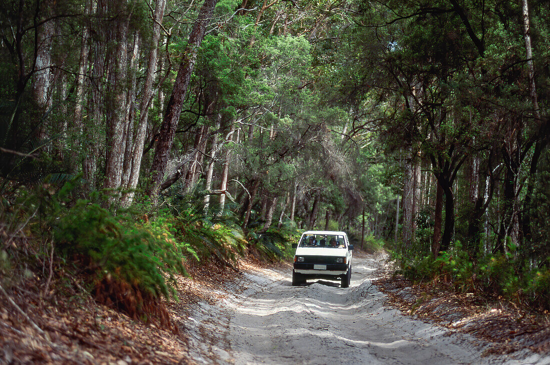 4WD auf sandiger Strecke, die durch einheimisches Buschland fährt - Fraser Island