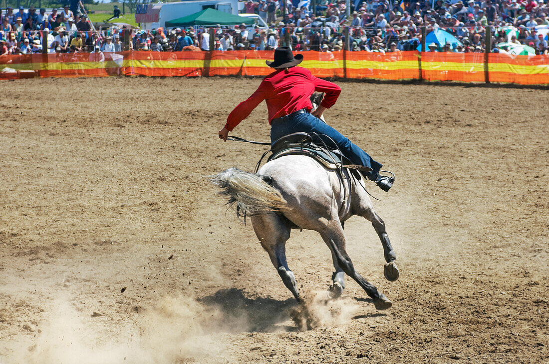 Young woman barrel racing at Rodeo