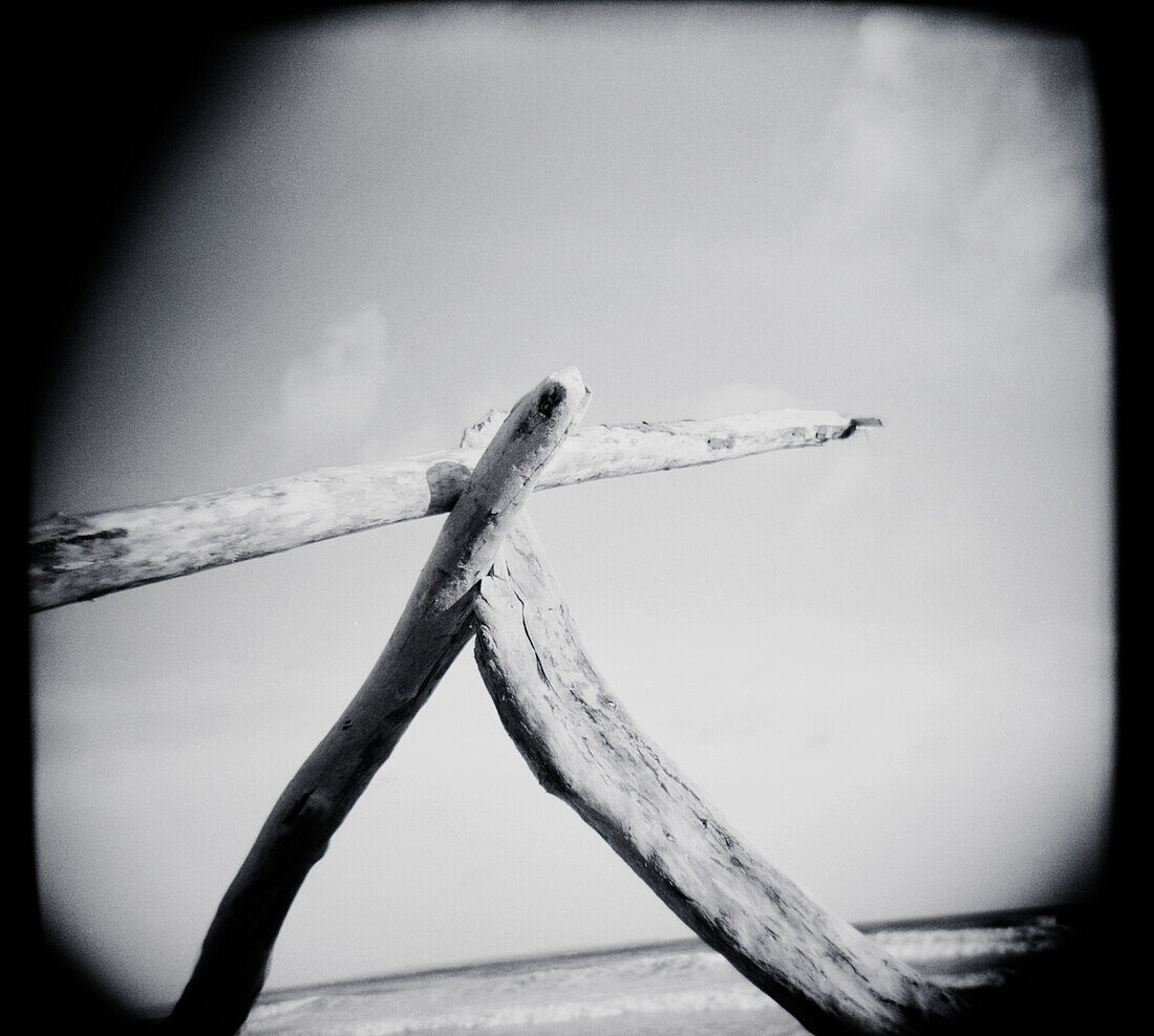 Driftwood linked together to make a triangle at the beach - Black and White