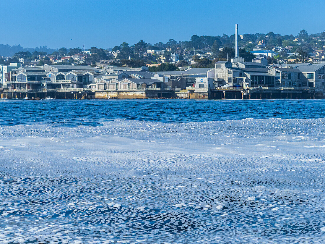 Meeresverschmutzung, Tintenfischschaum, der von Tintenfisch-Fischerbooten freigesetzt wird, Monterey Bay, Monterey Bay National Marine Reserve, Pazifischer Ozean, Kalifornien