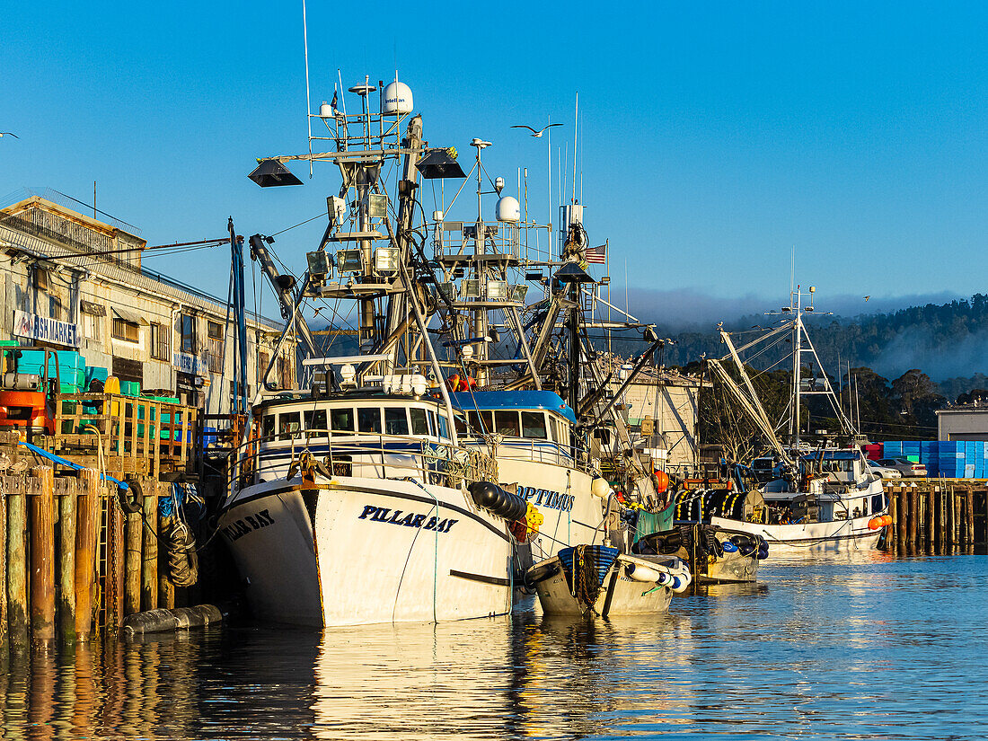 Keine wahre Zuflucht, Squid Fischerboote in Monterey Bay, Monterey Bay National Marine Refuge, Kalifornien