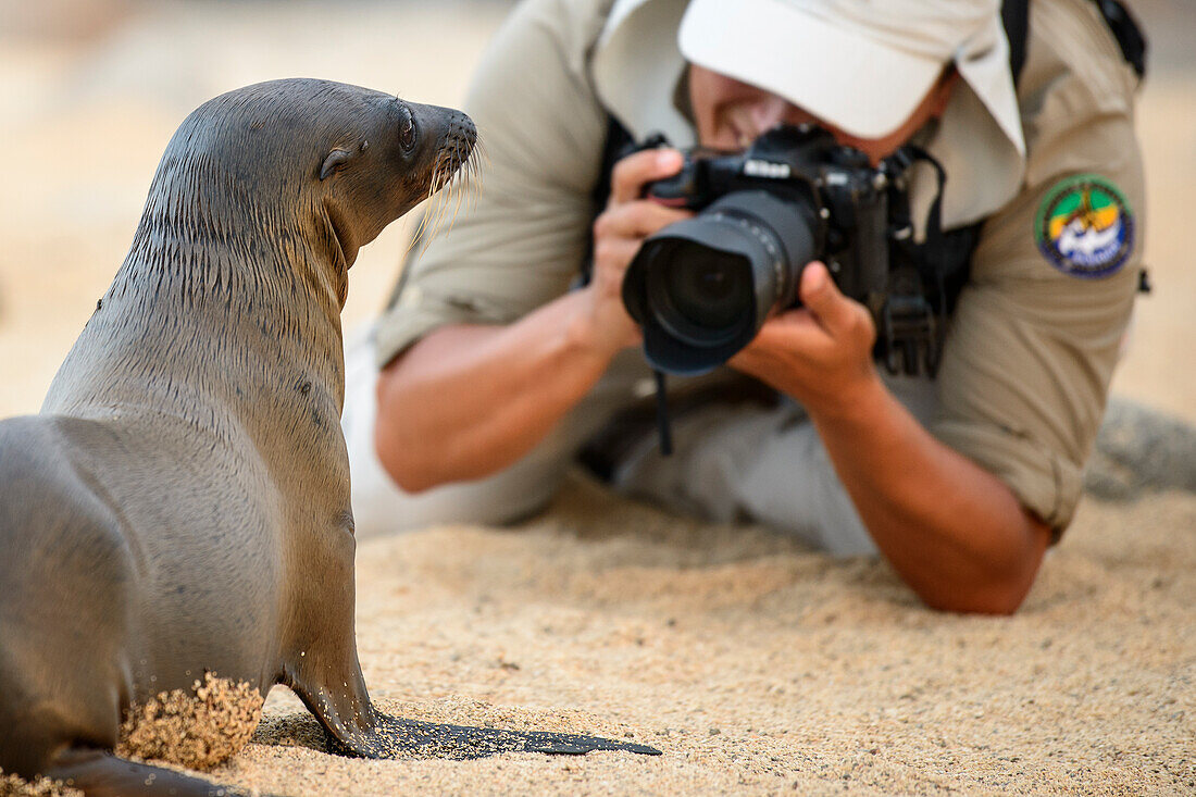 Ein Galapagos-Seelöwenwelpe und begeisterter Fotograf