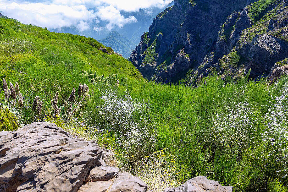 Pico do Arieiro, Pico Ruivo, summit, trail PR1