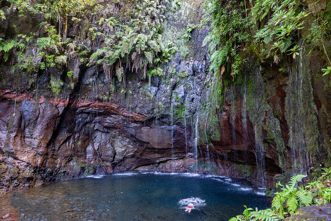 Levada das 25 Fontes, Rabacal, spring pot, 25 springs