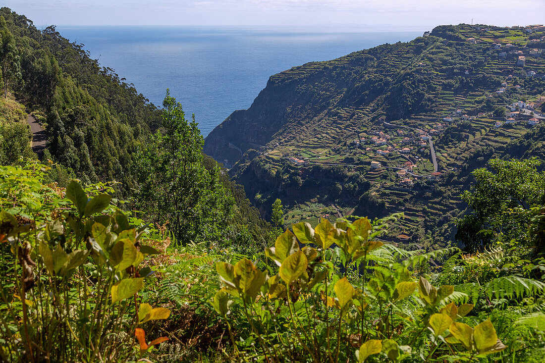 Ribeira da Janela, portugiesische Insel Madeira, Portugal