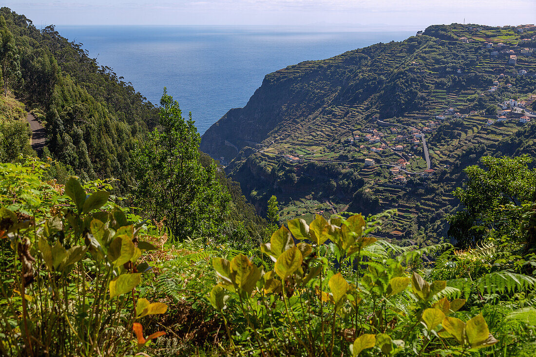 Ribeira da Janela