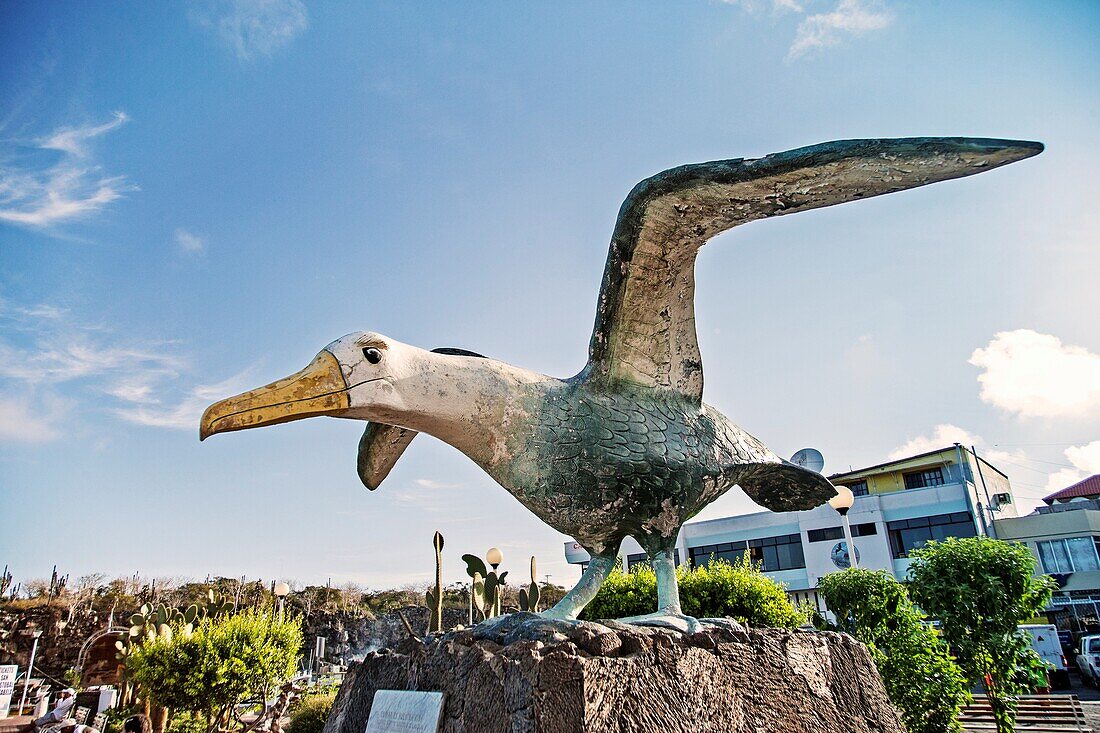Ecuador, Galapagos-Inseln, Santa Cruz, Puerto Ayora, Skulptur des gewellten Albatros