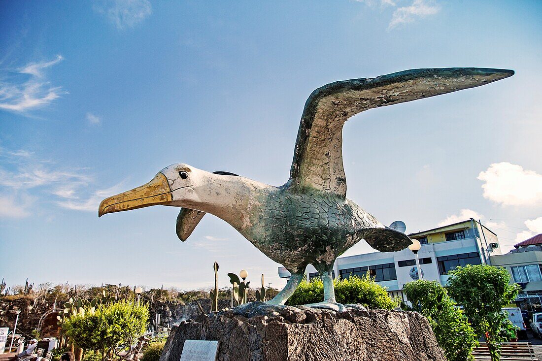 Ecuador, Galapagos Islands, Santa Cruz, Puerto Ayora, Sculpture of waved albatross