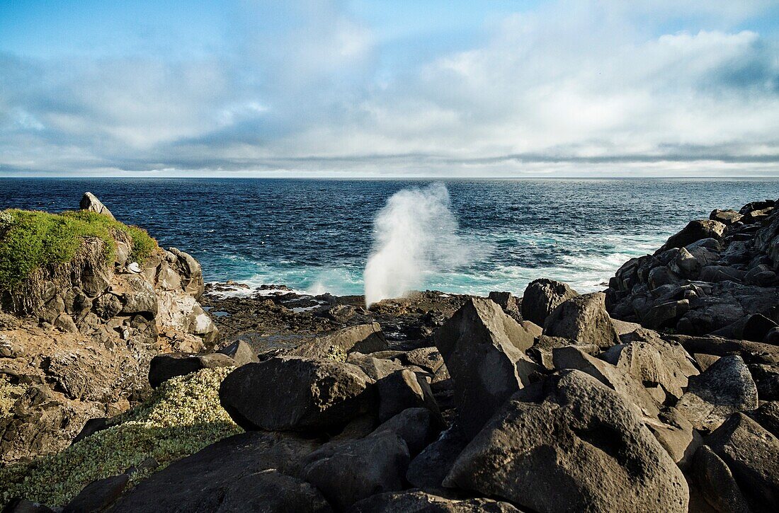 Ecuador, Galapagos Islands, surf crashing on rocky beach