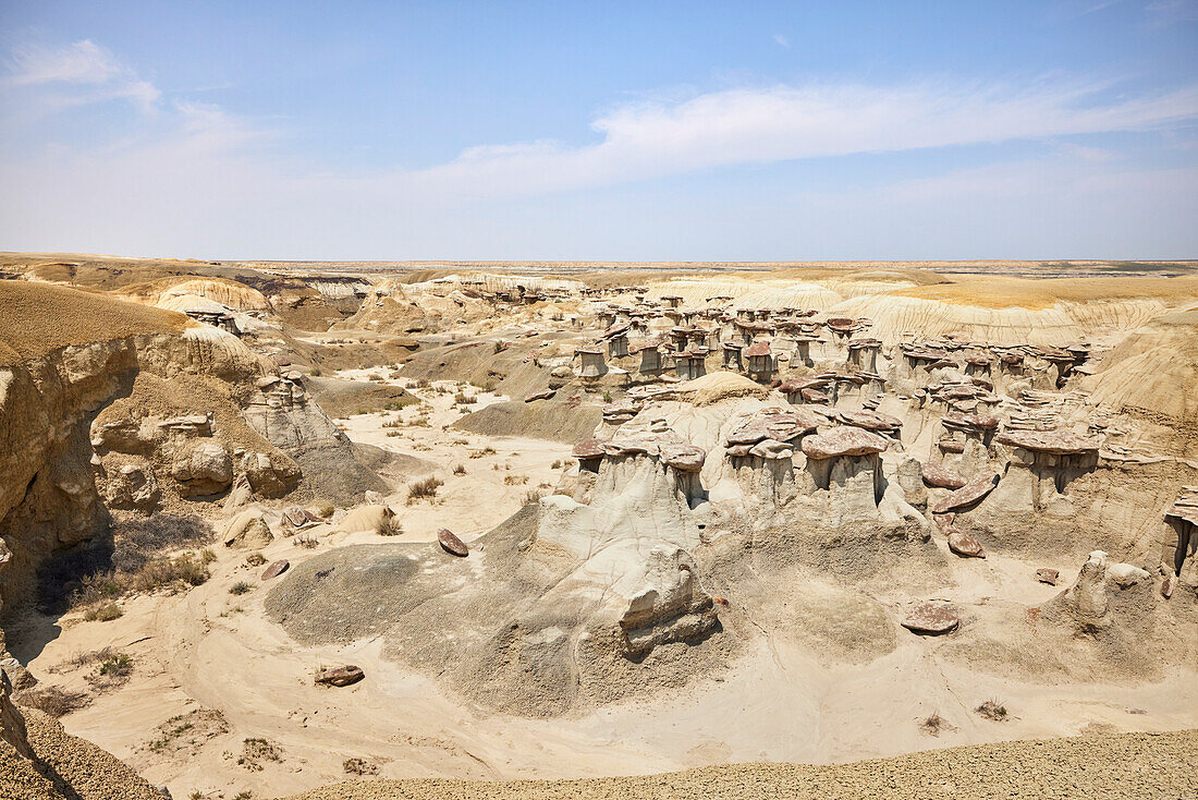 Hoodoos-Landschaft aus Sandstein im Ah-shi-sle-pah Wilderness Study Area in New Mexico. Das Gebiet liegt im Nordwesten von New Mexico und ist ein Badland-Gebiet mit sanften, wassergeschnitzten Lehmhügeln. Es ist eine Landschaft aus Sandsteinfelsen und malerischen olivfarbenen Hügeln. Wasser in diesem Bereich ist knapp und es gibt keine Wanderwege; Die Gegend ist jedoch landschaftlich reizvoll und enthält sanfte Farben, die anderswo selten zu sehen sind