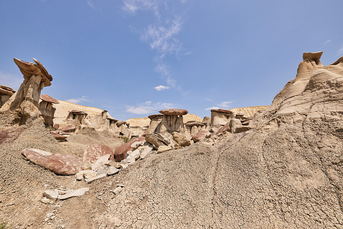 Low Angle Shot von Ah-shi-sle-pah Wilderness Study Area in New Mexico. Das Gebiet liegt im Nordwesten von New Mexico und ist ein Badland-Gebiet mit sanften, wassergeschnitzten Lehmhügeln. Es ist eine Landschaft aus Sandsteinfelsen und malerischen olivfarbenen Hügeln. Wasser in diesem Bereich ist knapp und es gibt keine Wanderwege; Die Gegend ist jedoch landschaftlich reizvoll und enthält sanfte Farben, die anderswo selten zu sehen sind