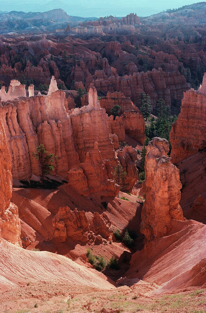 Erodierte Felsen in einer Schlucht, Bryce-Canyon-Nationalpark, Utah, USA