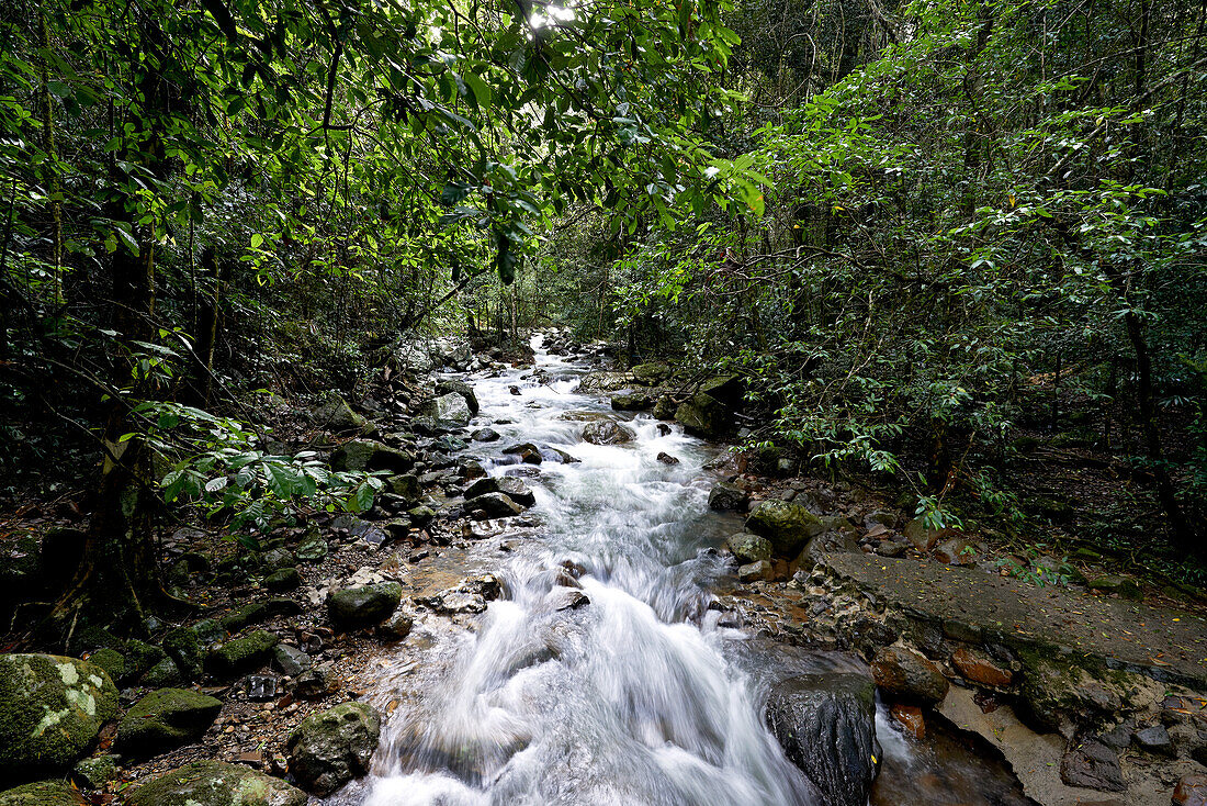 Water flowing over rocky stream through native Rainforest in hinterland, Australia