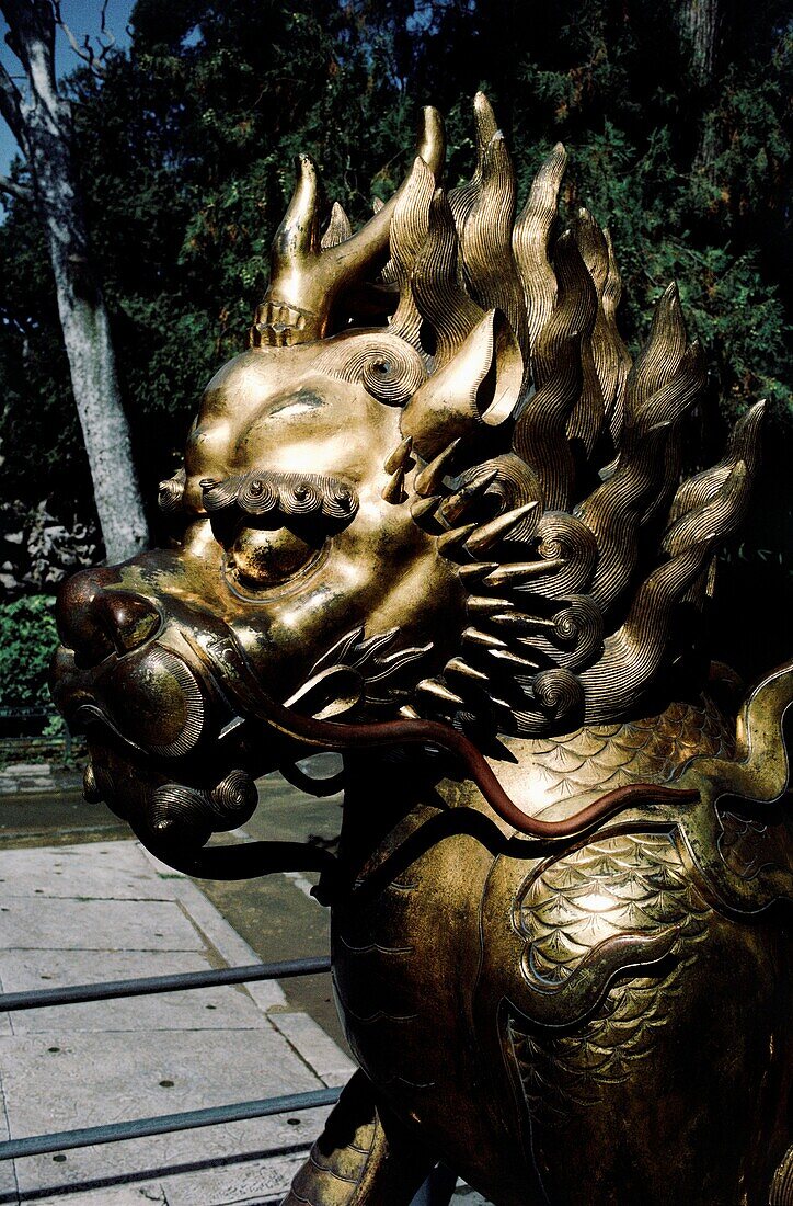 Gilded lion in front of the Palace of Tranquil Longevity, Forbidden City, Beijing, China