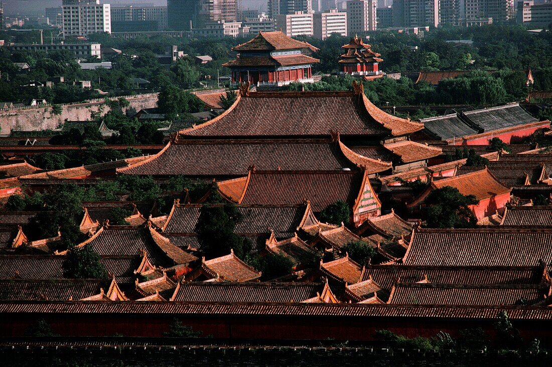 Dächer von Häusern in einer Stadt, Verbotene Stadt, Peking, China